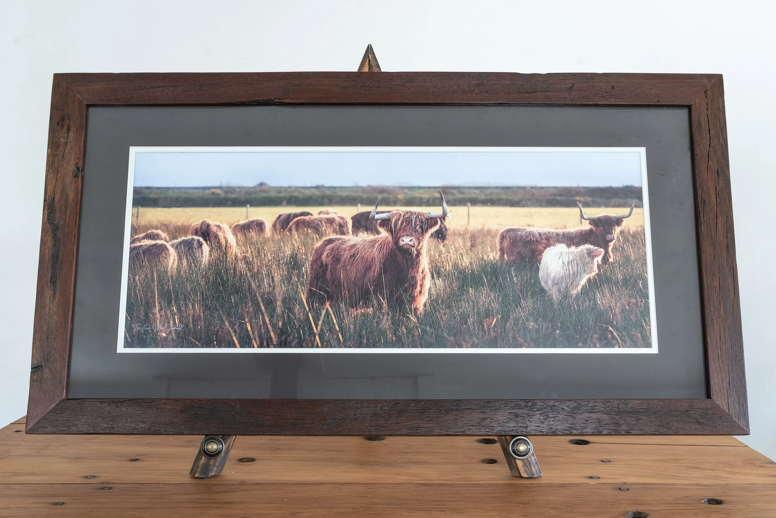 cow-frame.jpg