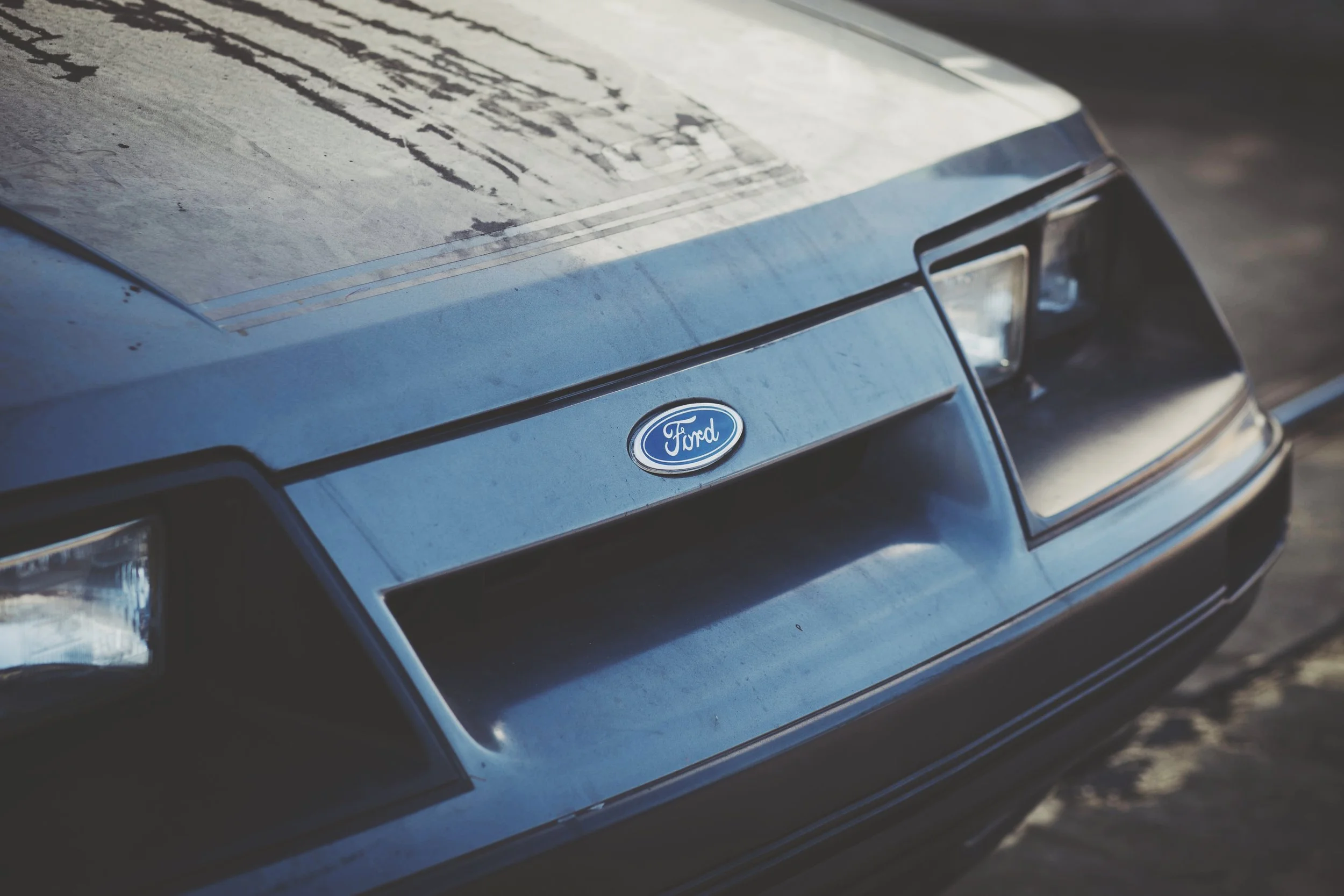 2017-01-30 05.14.23 1.jpg