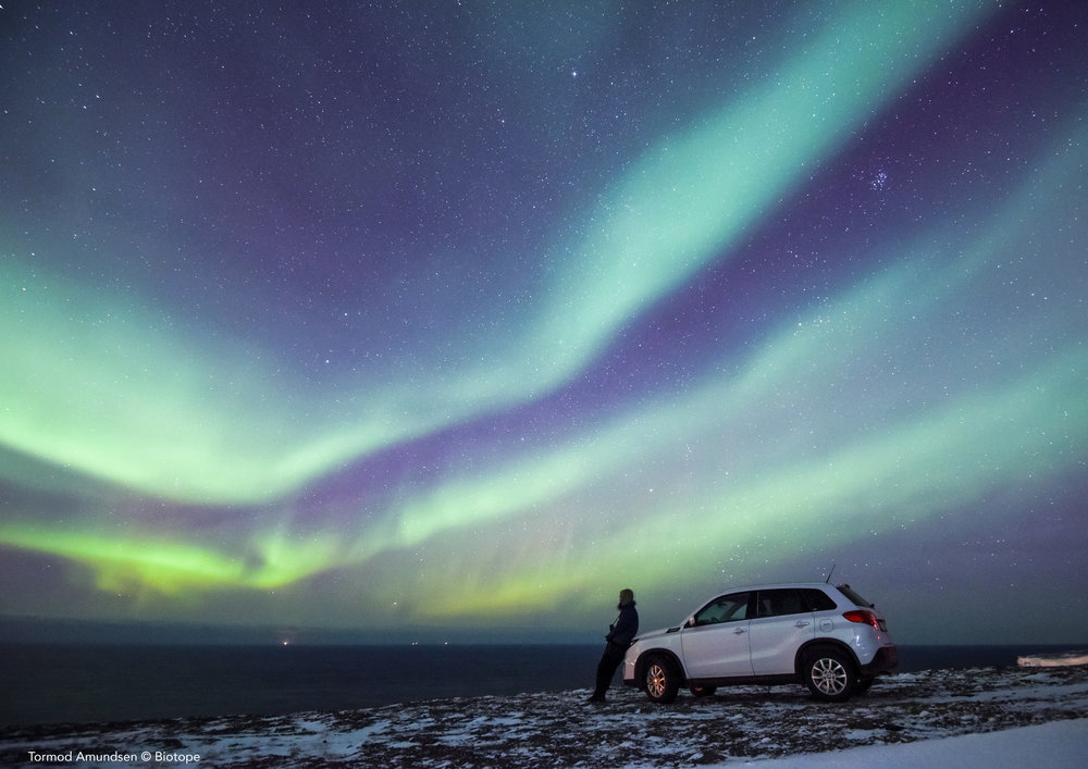 Car hire can be easily arranged in Kirkenes or you can have a car delivered to Vardø.