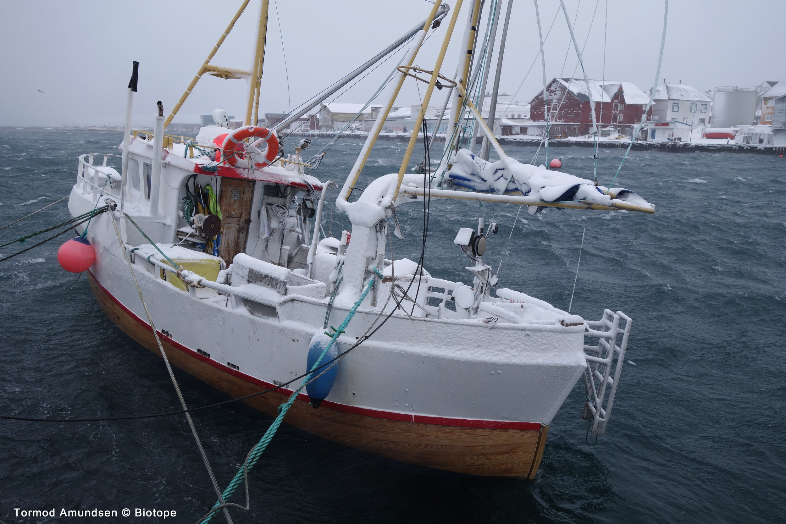  Vardø is primarily a fishing community. Fishing is the main business in Vardø and although the coastal fleet in Vardø is small compared to earlier times, the fishing boats that go in and out of Vardø harbour are an intrinsic part of the city. 