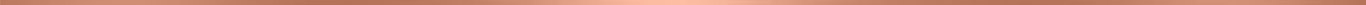 Rose Gold Border.png