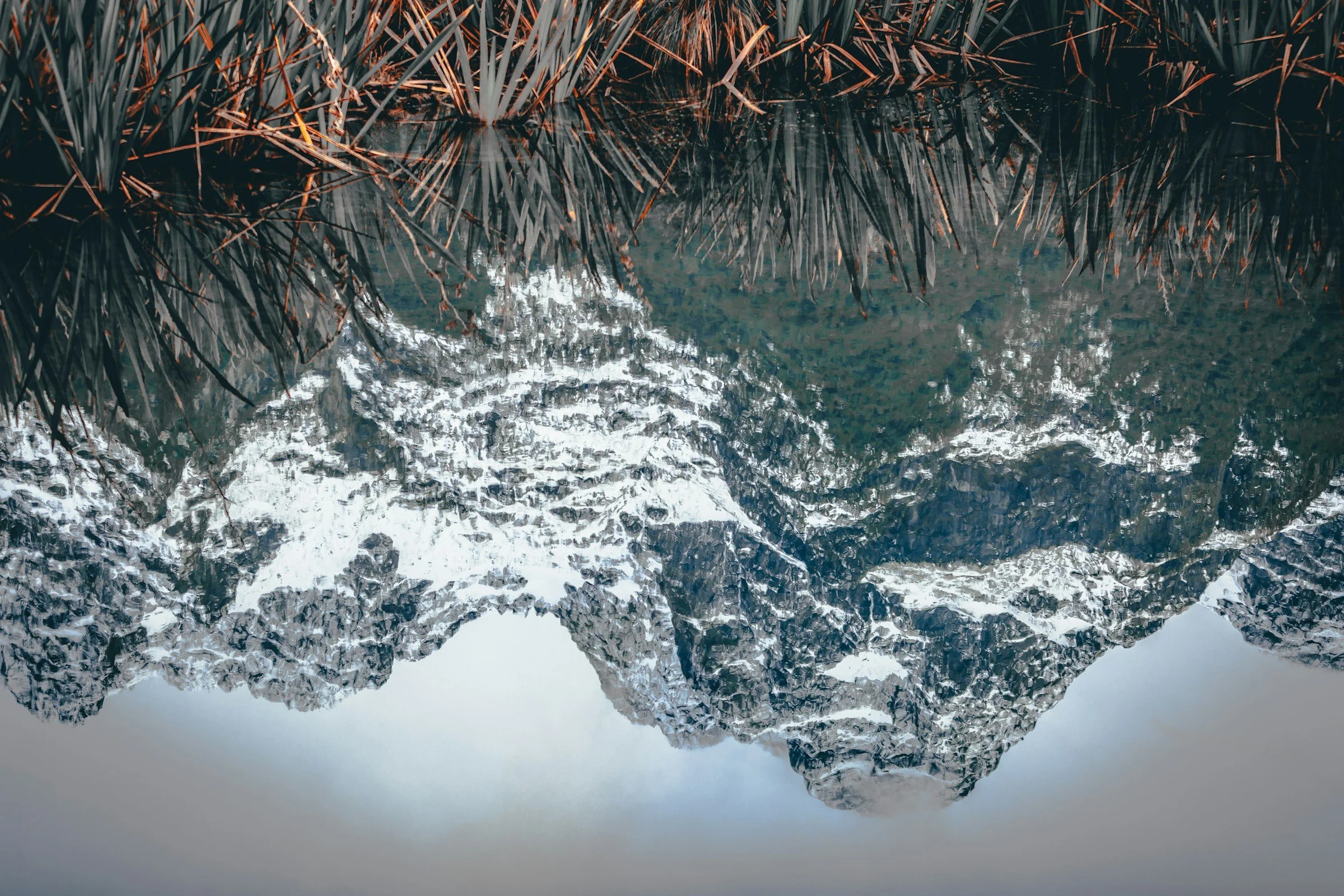 Five things I’m loving in December.