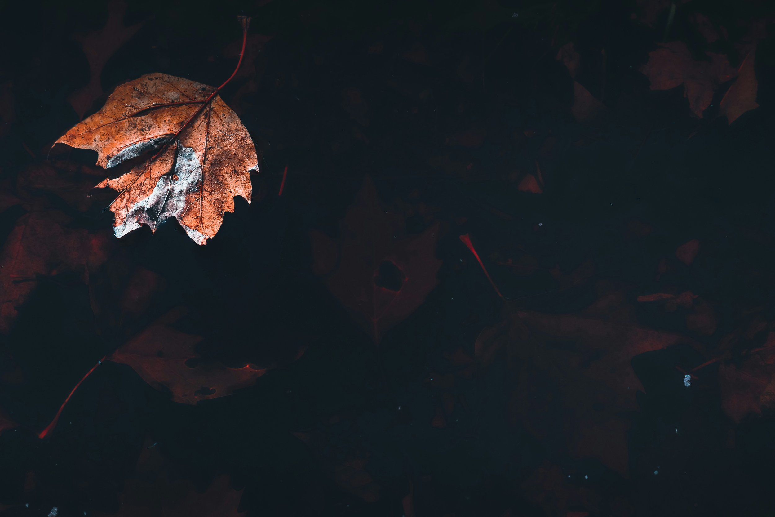 Five things I’m loving in March.