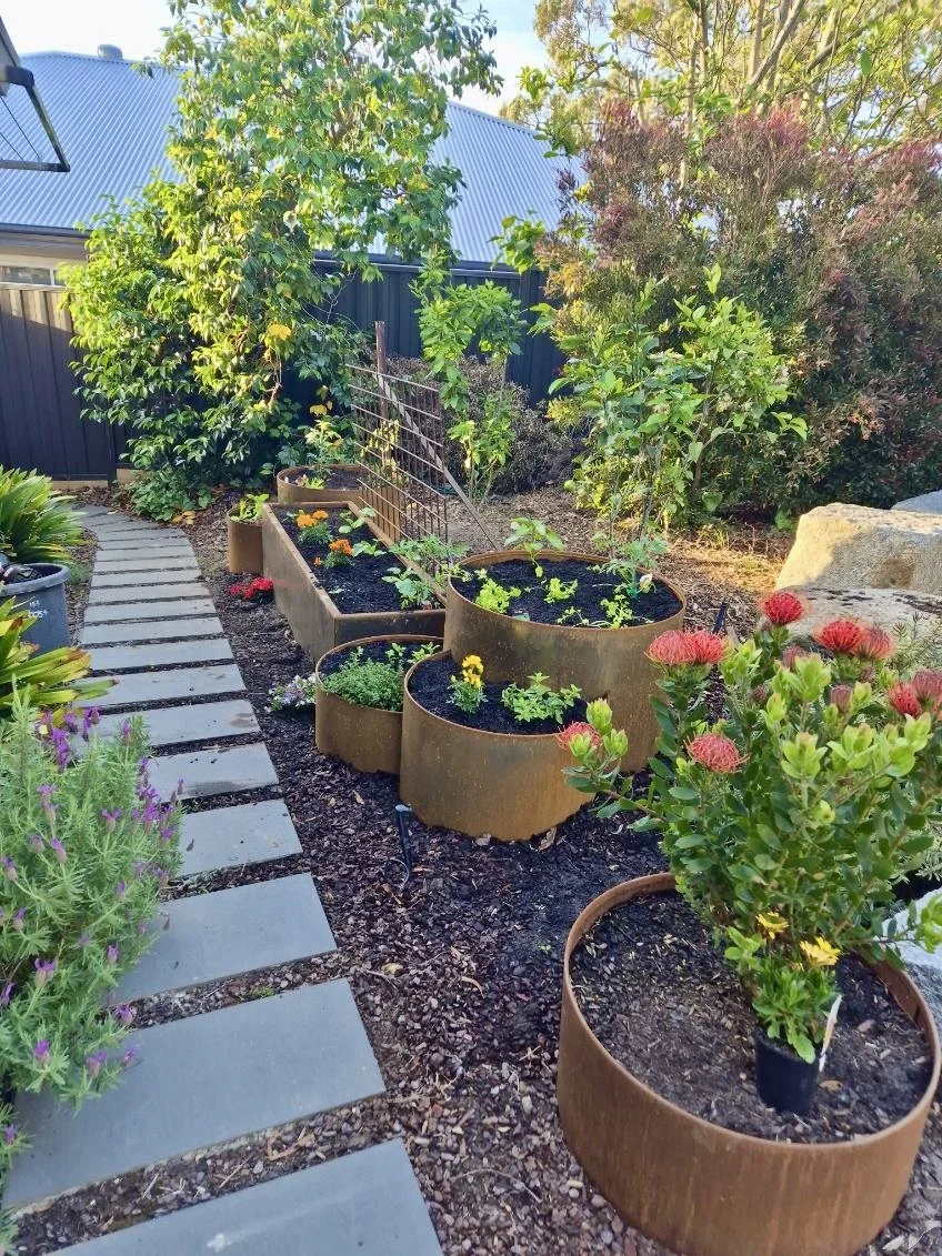 Vegie Garden_1.jpg