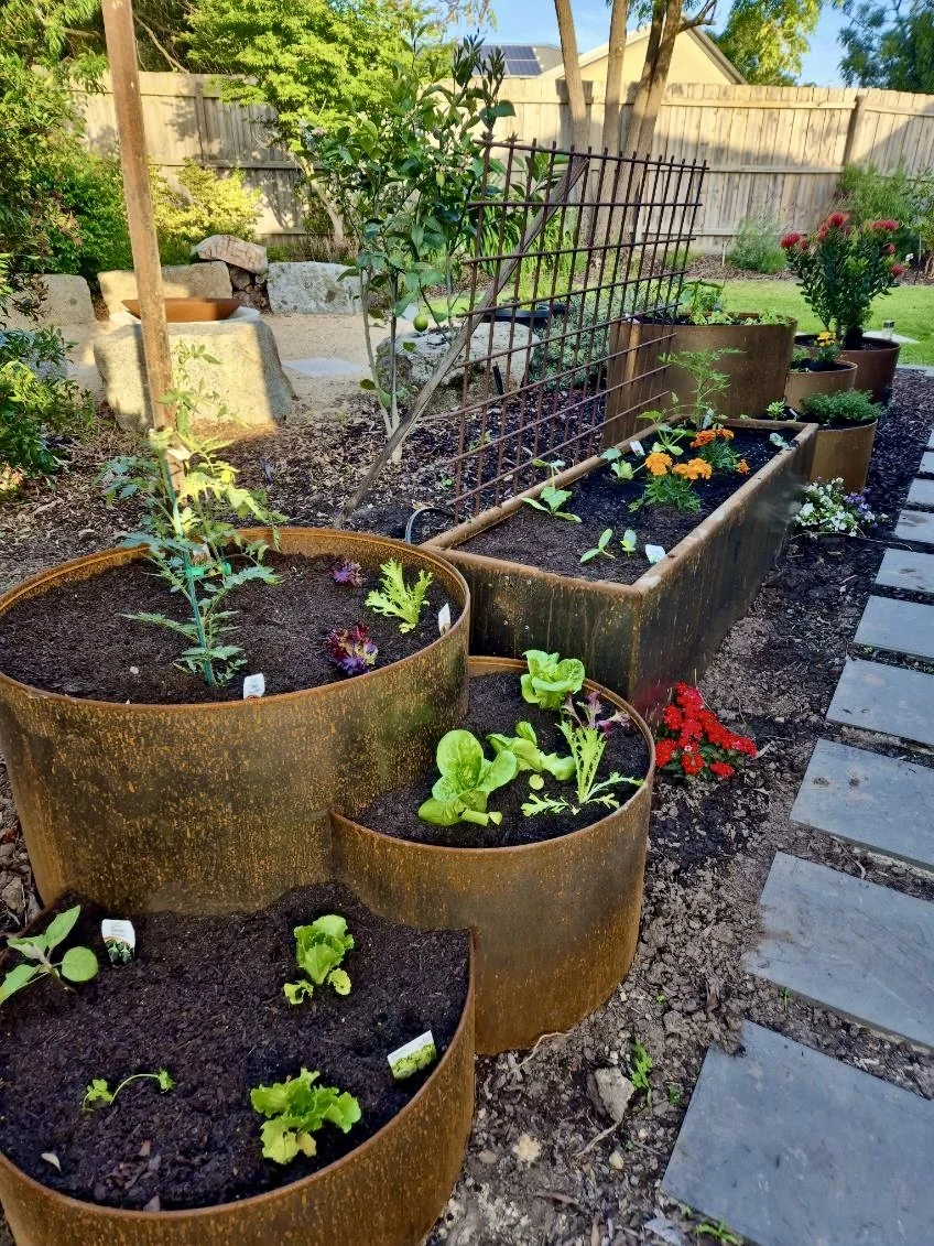 Vegie Garden_2.jpg