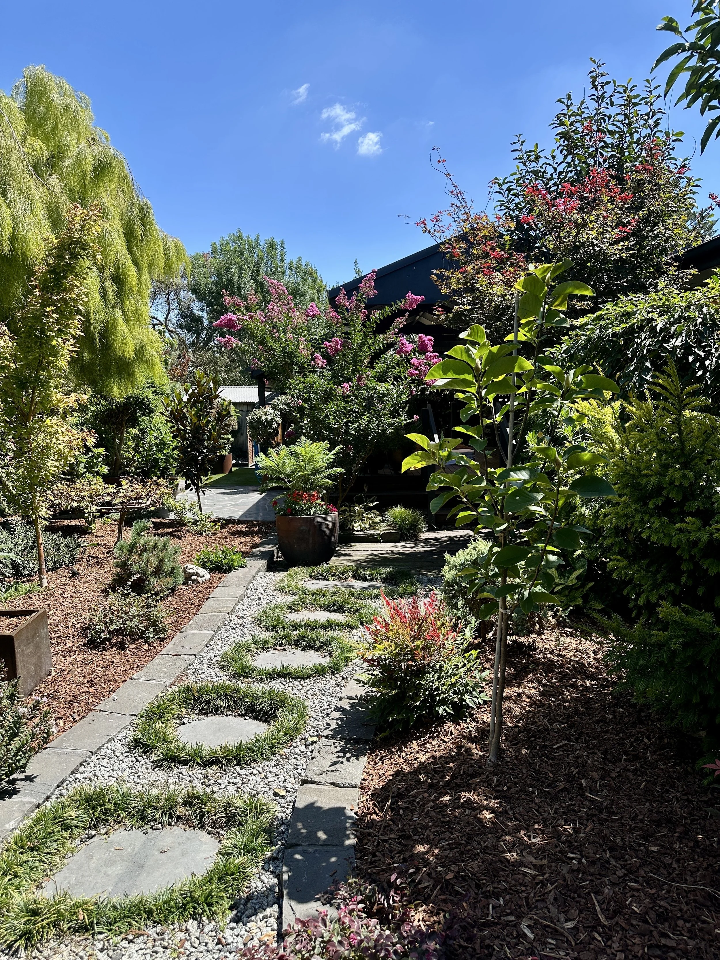 Jo_BackGarden.jpg