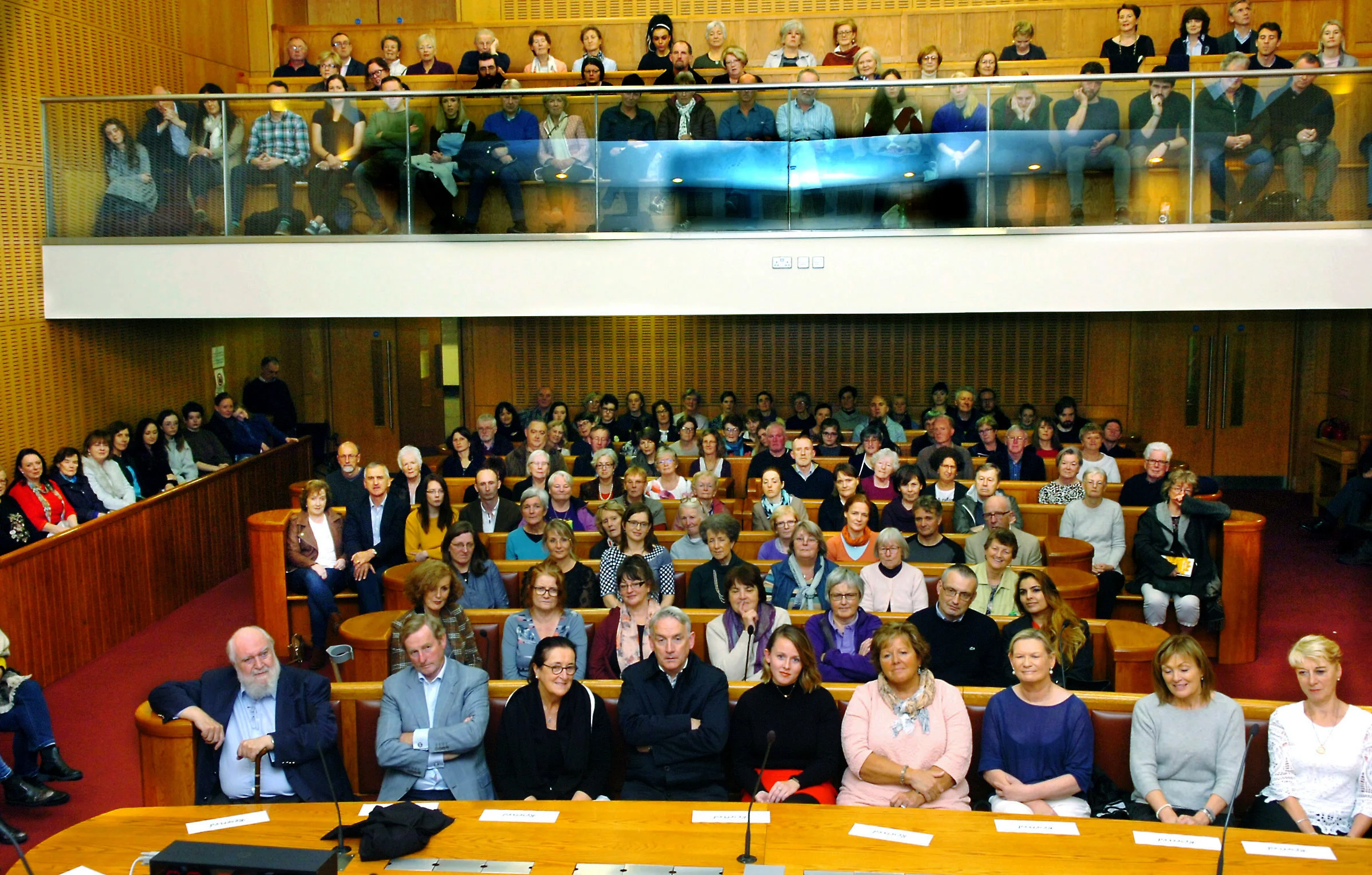 Packed and disguished audience .jpg