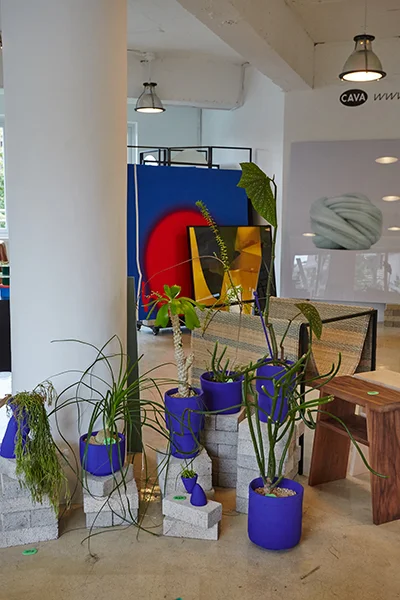 Vol.122_CAVA