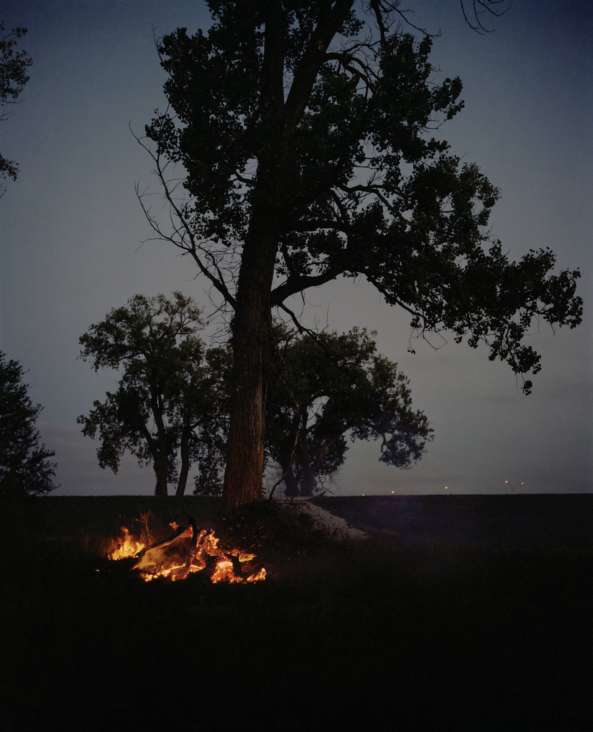 Fire and Tree, Omaha, NE.jpg