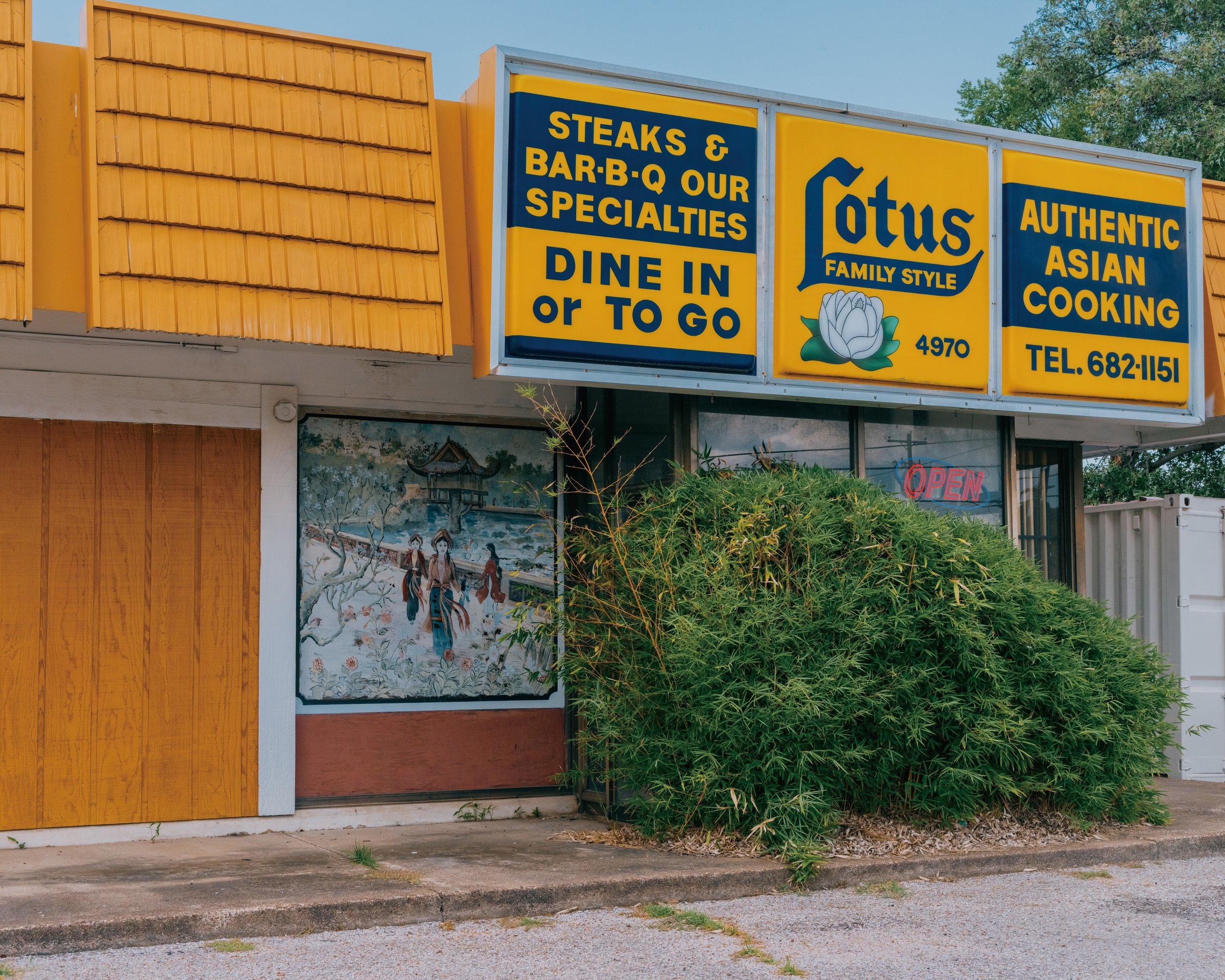 05_Lotus (Family Style, No 1), Summer Avenue, Memphis, 2021.jpg