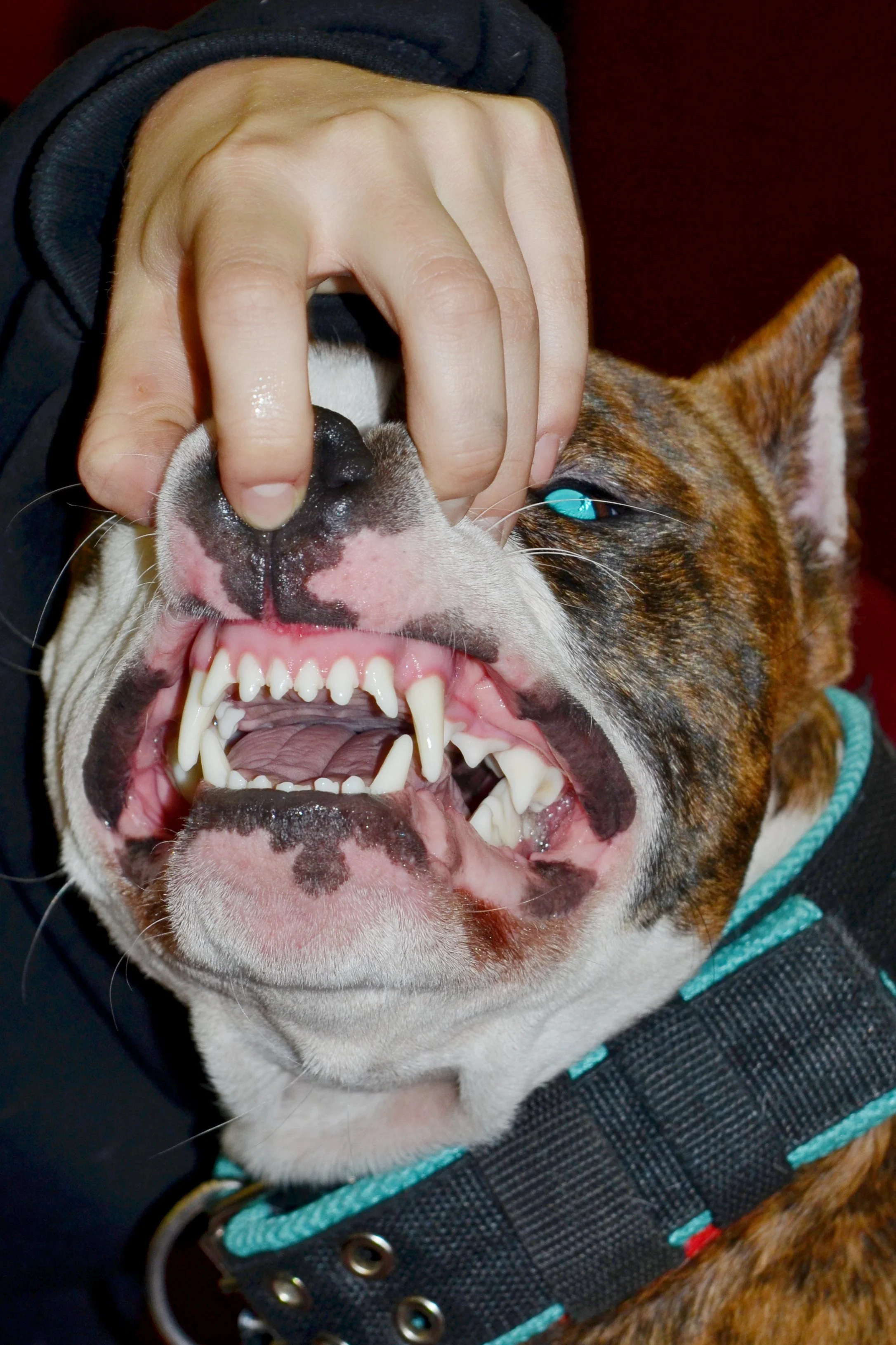 Vol.197_KRISTINA ROZHKOVA