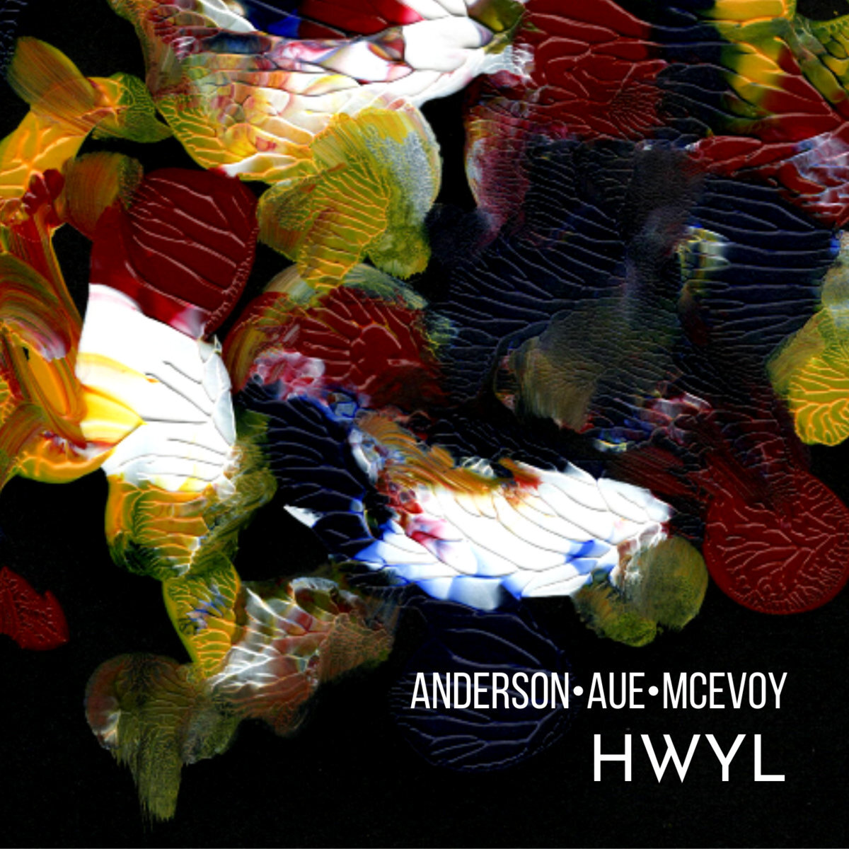 Anderson.Aue.McEvoy - "Hwyl" [Recorded, Mixed & Mastered (JP)]