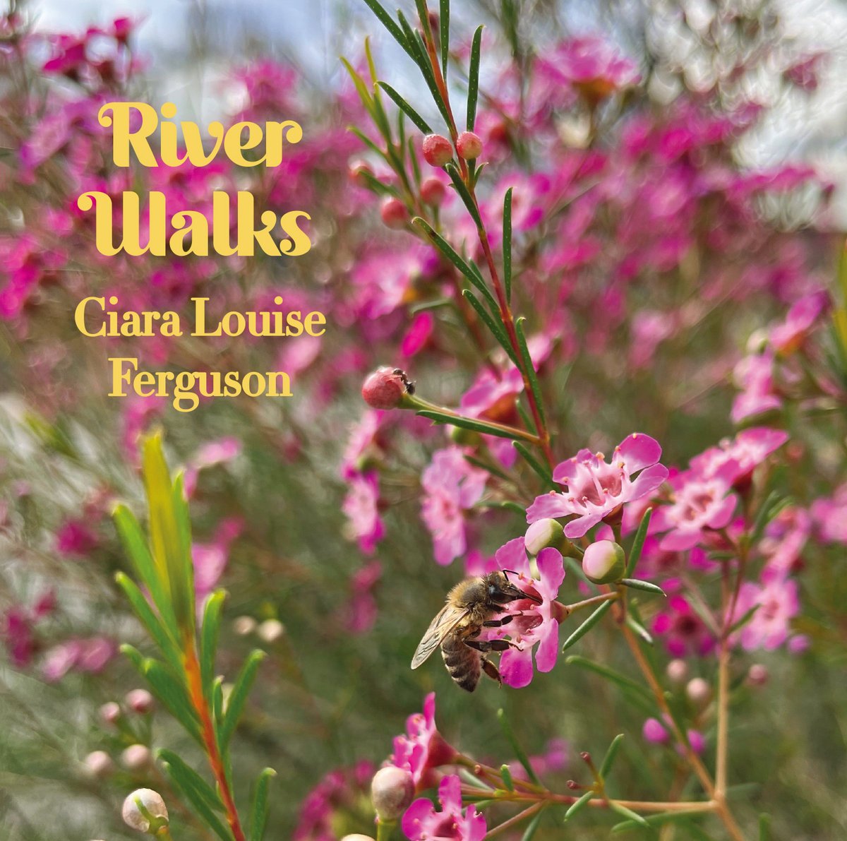 Ciara Louise Ferguson - "River Walks" [Recorded & Mixed (JB), Mastered (JP)]