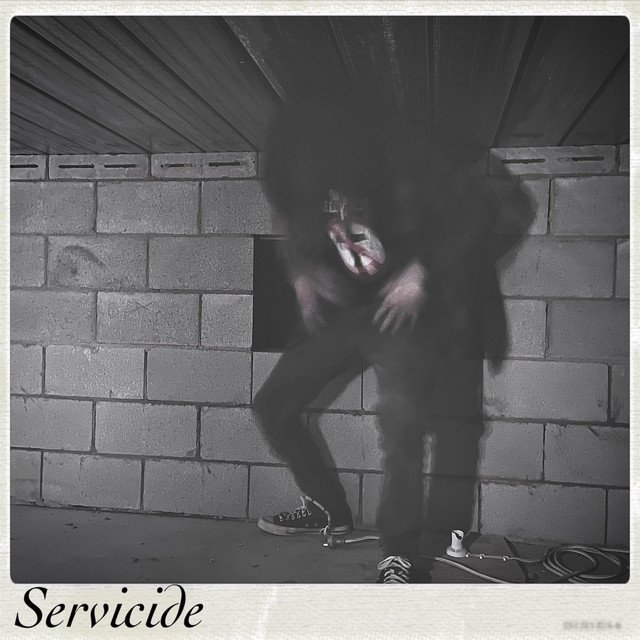 The Wired Serenity - "Servicide", "GFYS" & "Faker" [Recorded, Mixed & Mastered (JP)]
