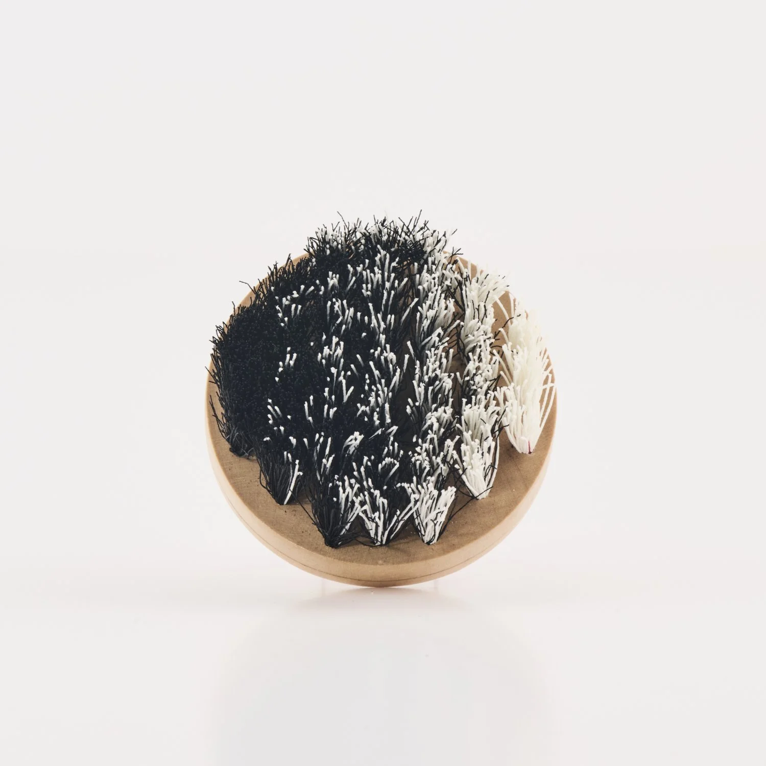 Grain + Fibre : Wood and Paper in Contemporary Craft, Ruthin Craft Centre