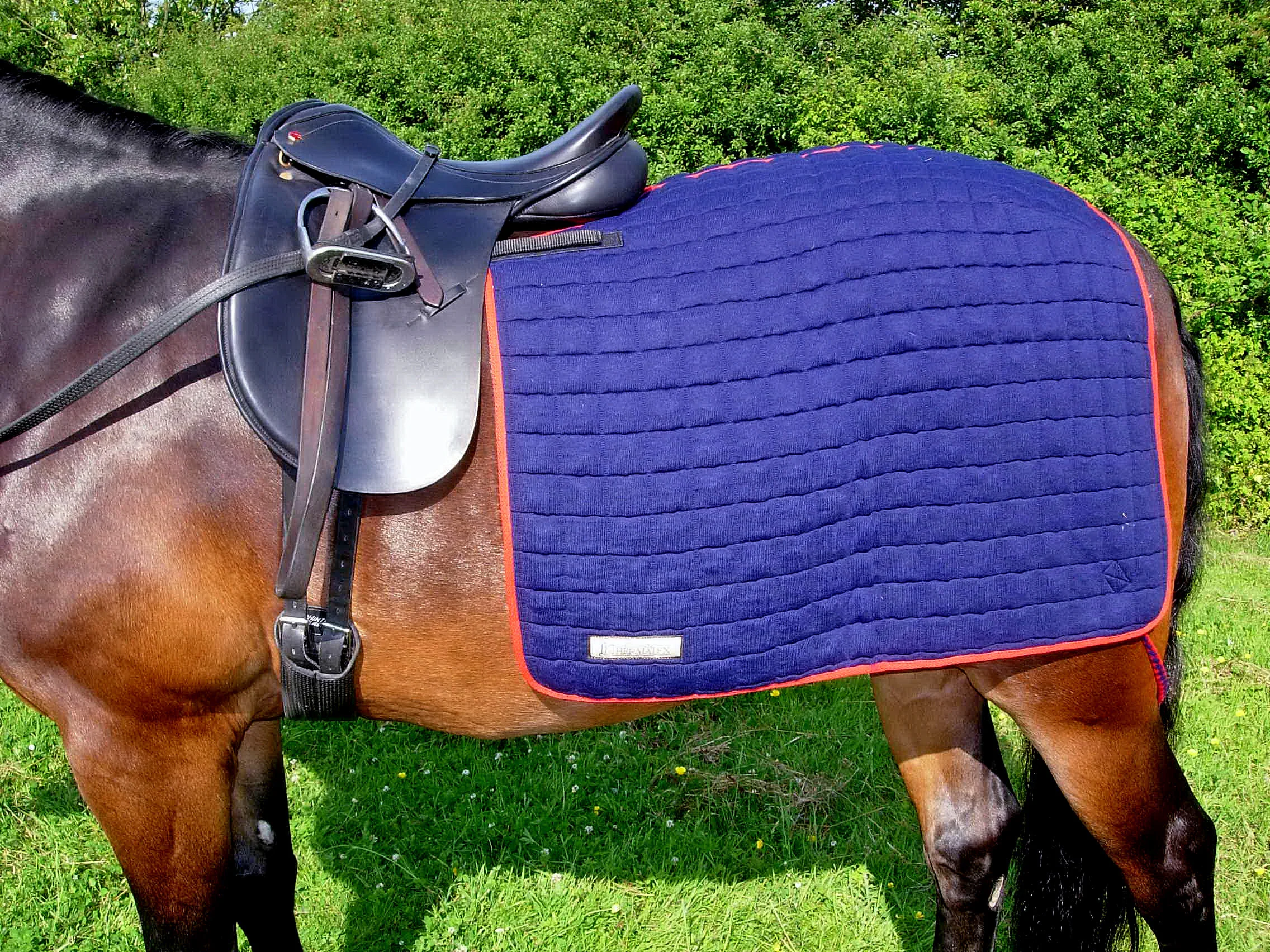 Personalised Thermatex Quarter Rug — TPL Equestrian