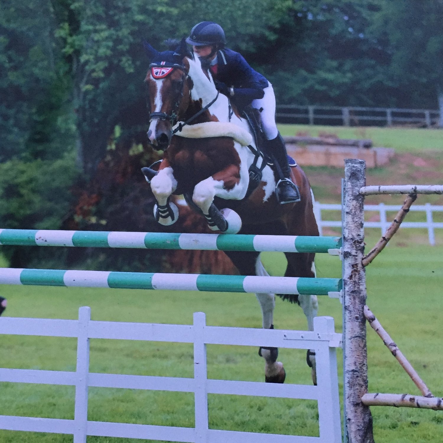 TPL Sponsored Rider - Philippa Walker — TPL Equestrian