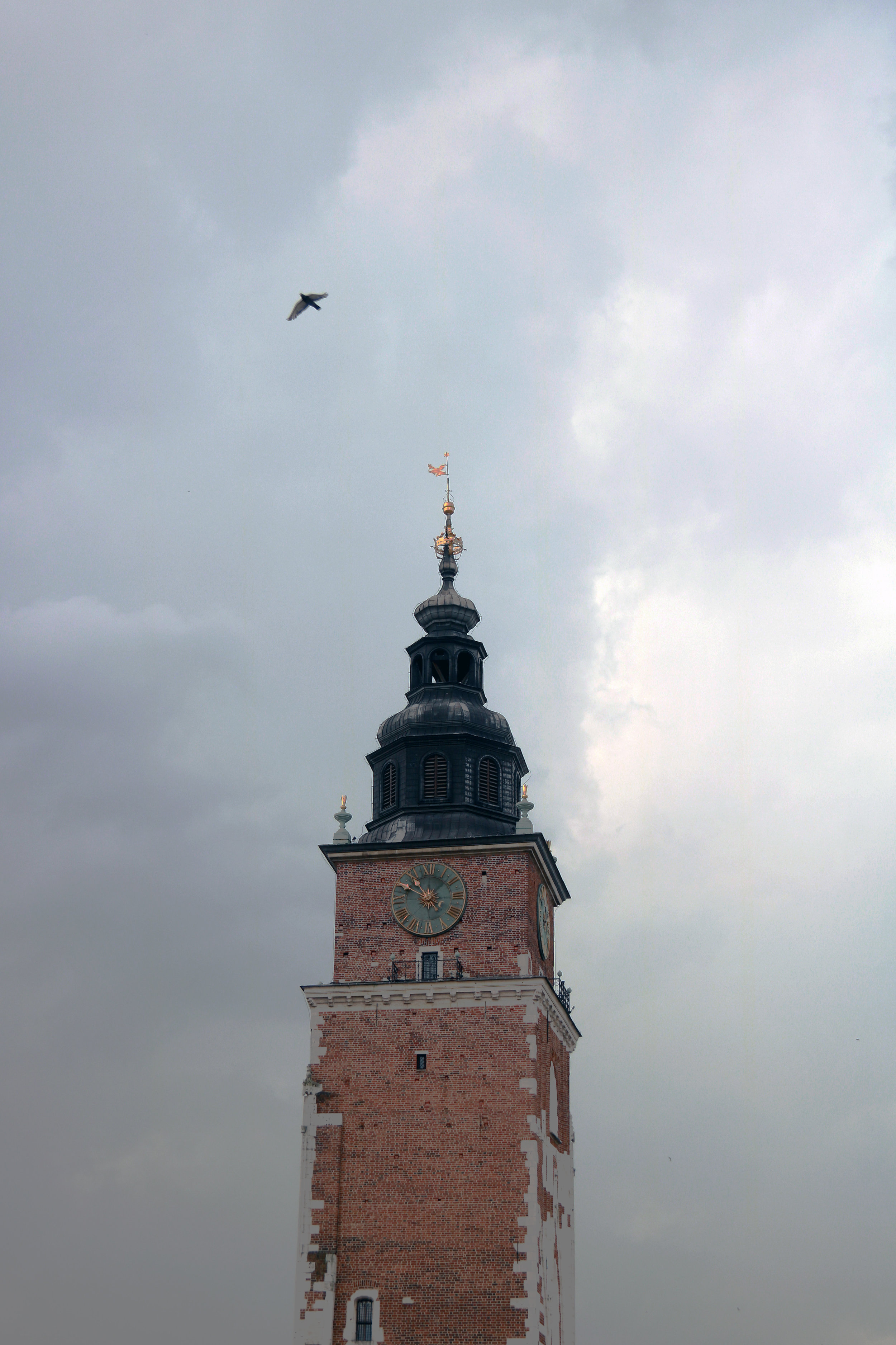 IMG_2400 copy.jpg