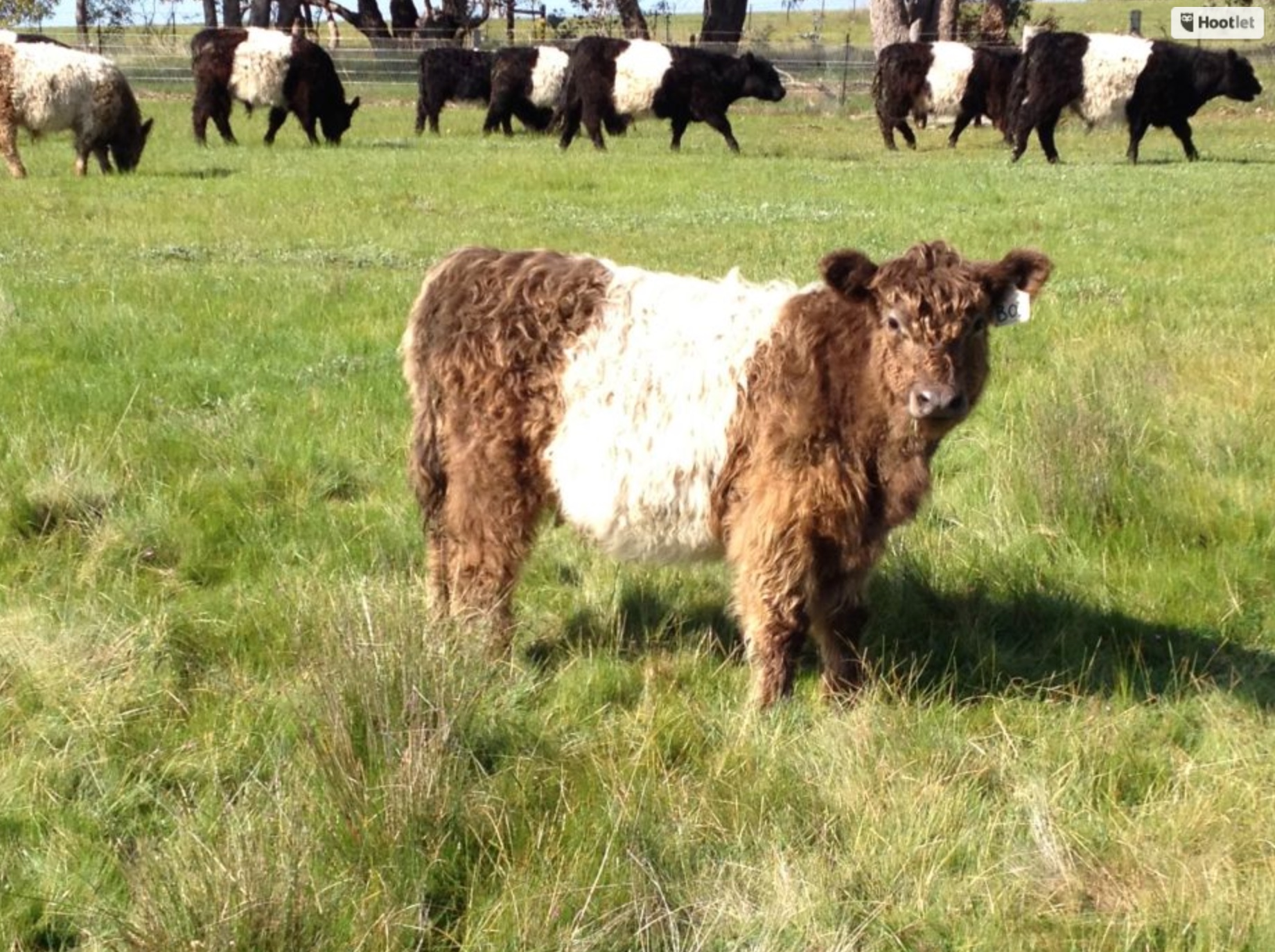 80 Acre Farm