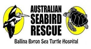 Seabird-Logo-300x164.jpg