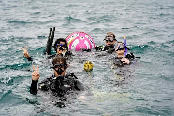 project-research-at-cook-island.webp