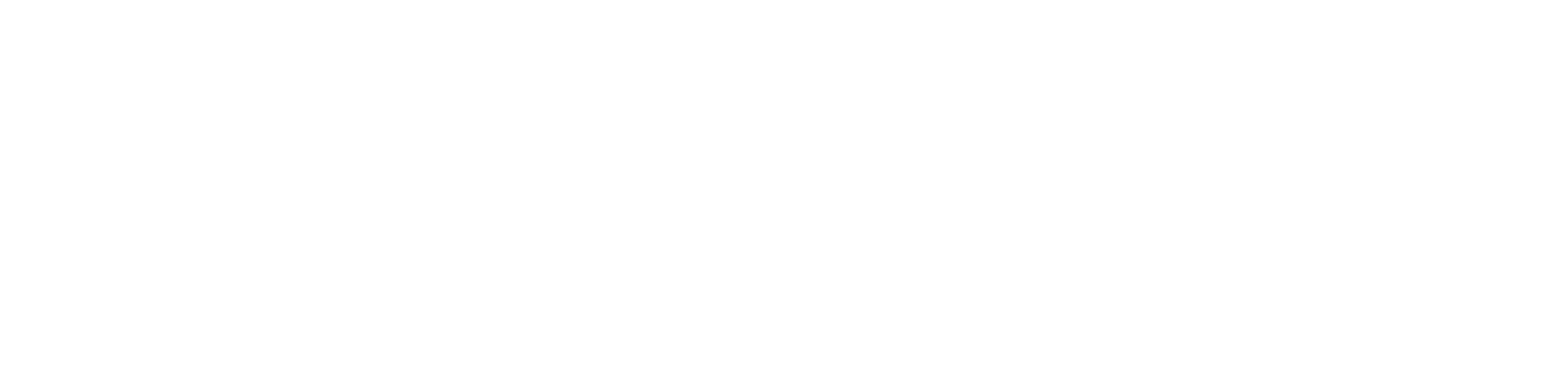 StartupTourism_Logo_White copy.png
