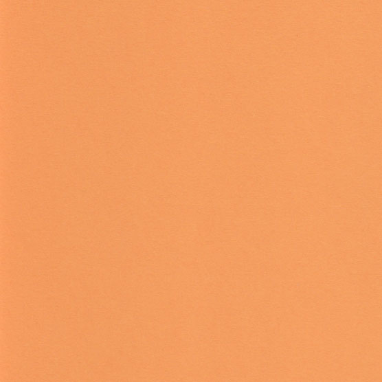 ORANGE FIZZ