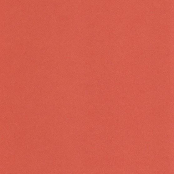 TANGY ORANGE
