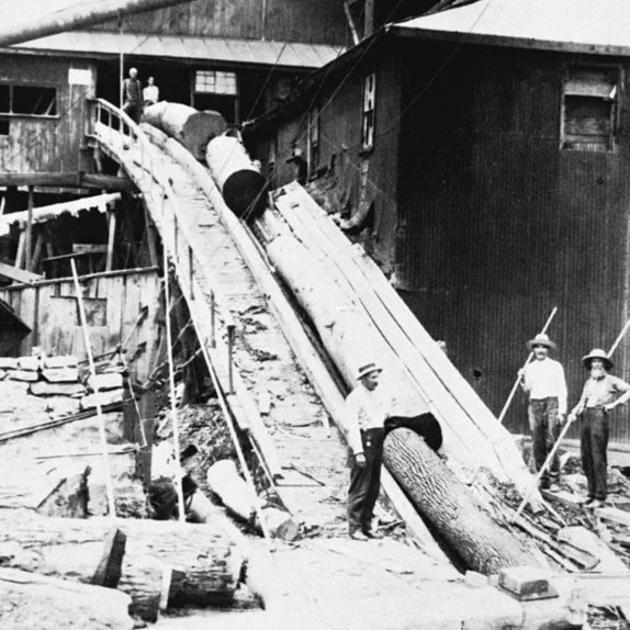 Logging-ramps-at-Crellin-1030x574.jpg
