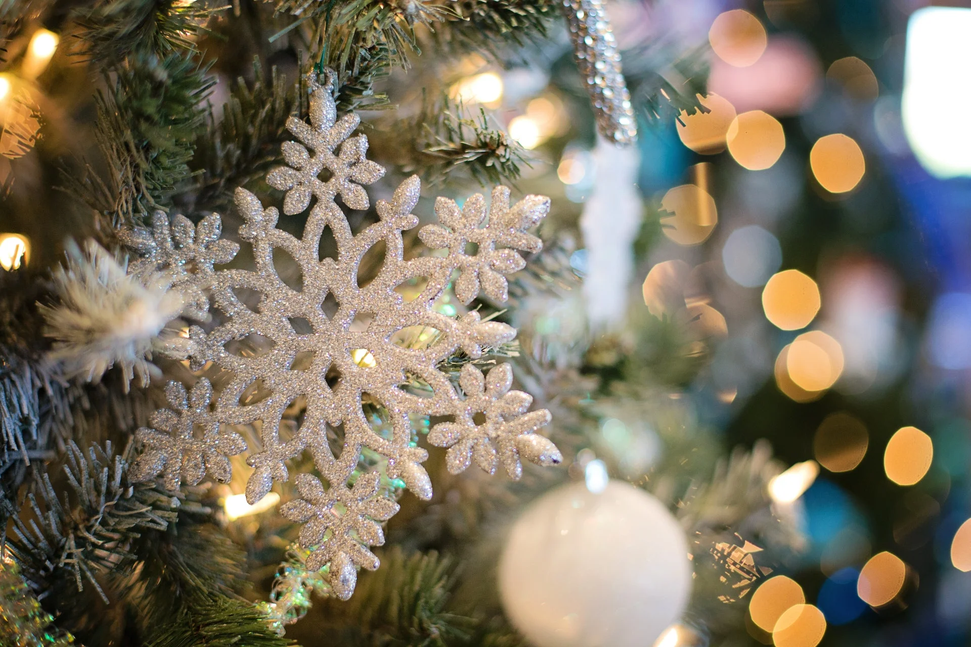 Sixth Annual Winter Wonderland Party
