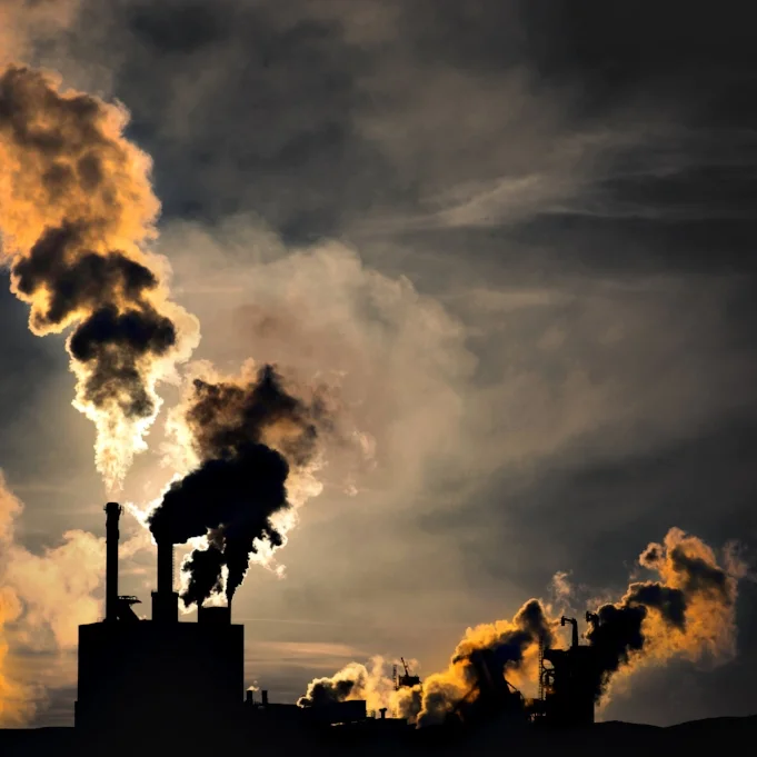 Environmental Impacts of the Fashion Industry