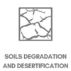 FASHION & SOIL DEGRADATION