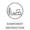 FASHION & RAINFOREST DESTRUCTION