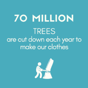 FASHION & RAINFOREST DESTRUCTION