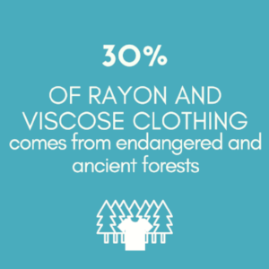 FASHION & RAINFOREST DESTRUCTION