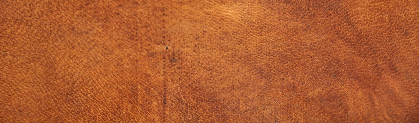 Sustainable Leather — SustainYourStyle