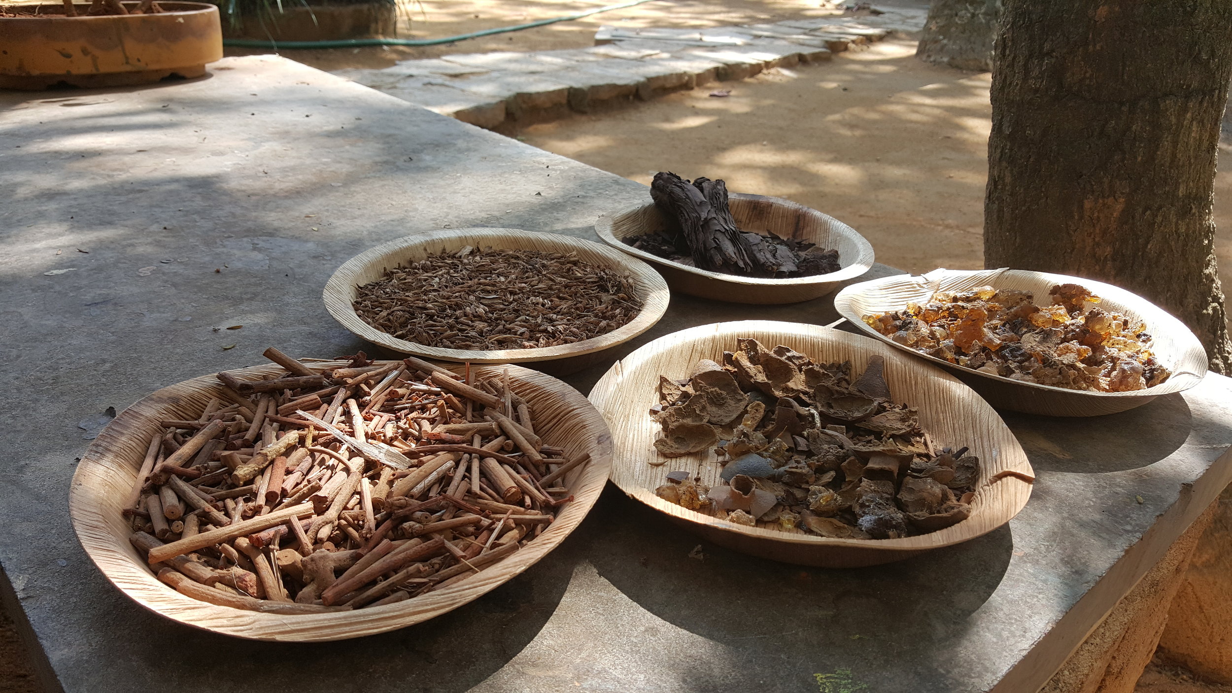 Copy of Copy of Natural dyes