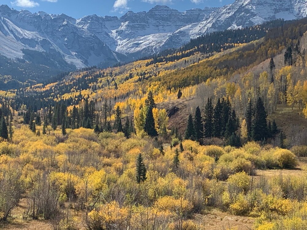 Sneffels over Autumn Colors 2 Arleen Richter.jpeg