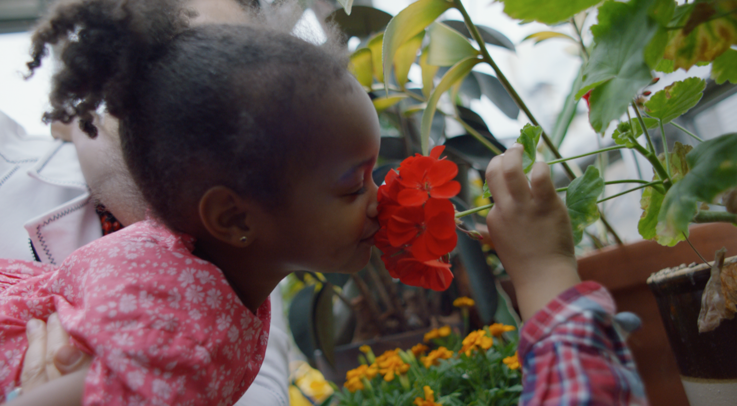 Screen Shot 2017-08-18 at 4.37.19 PM.png