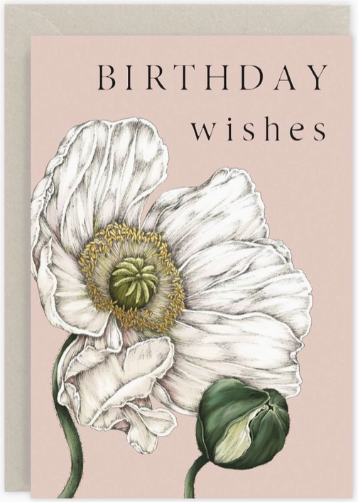 birthday wishes.png