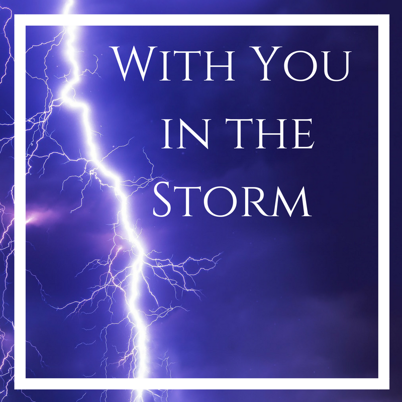 With You in the Storm.png
