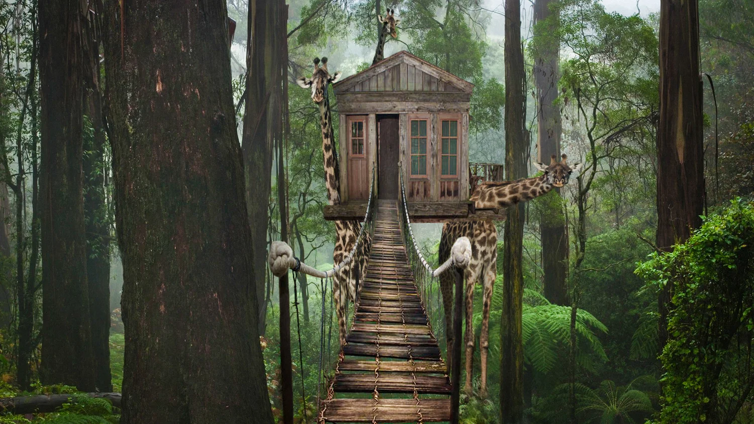 Giraffe Treehouse.Color.1500px.jpg