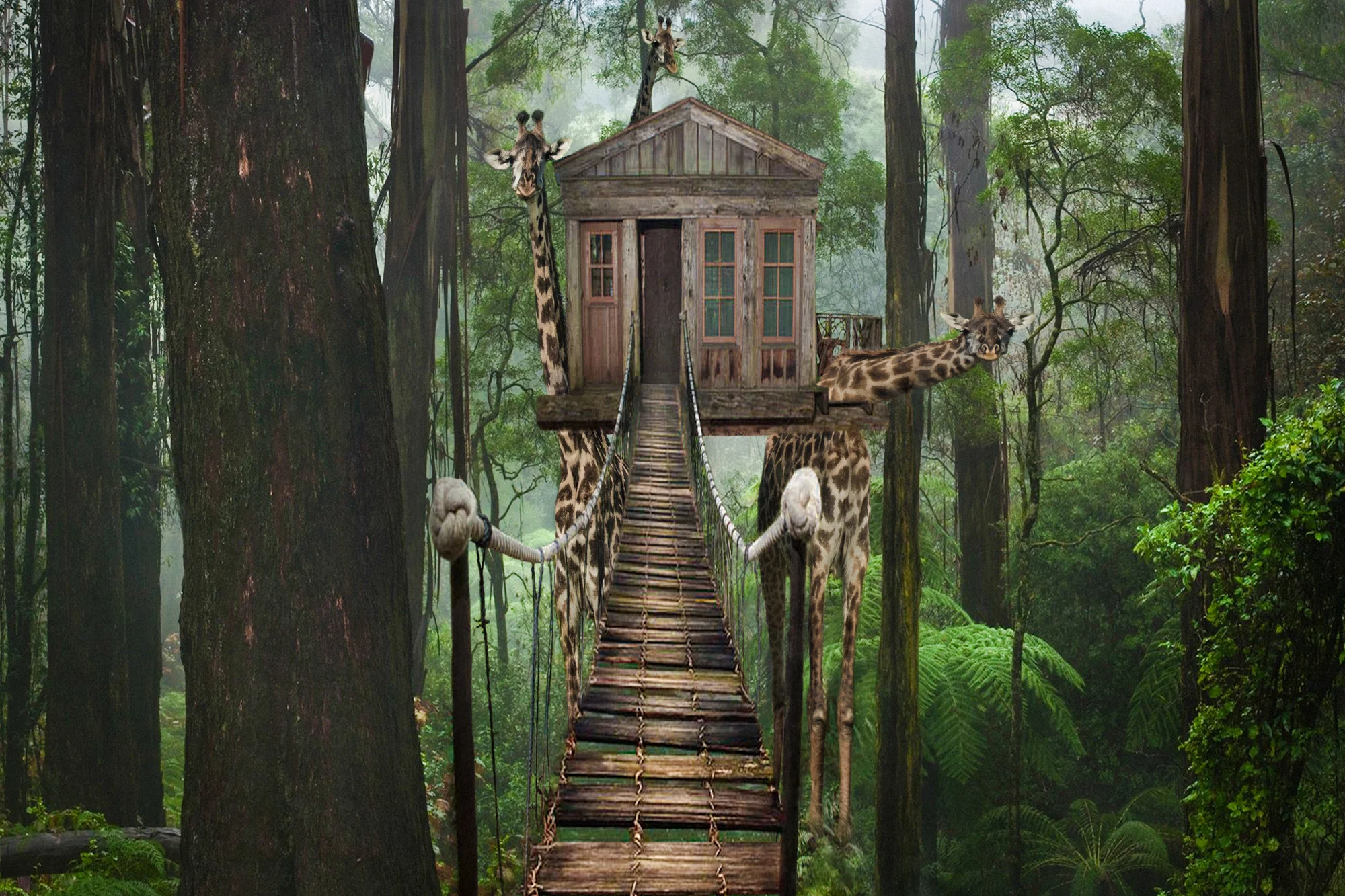 Giraffe Treehouse.2x3.2000px.jpg