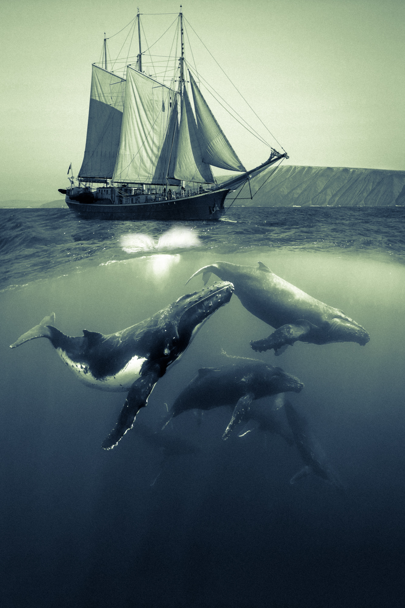 Ocean Dance.2x3.2000px.jpg