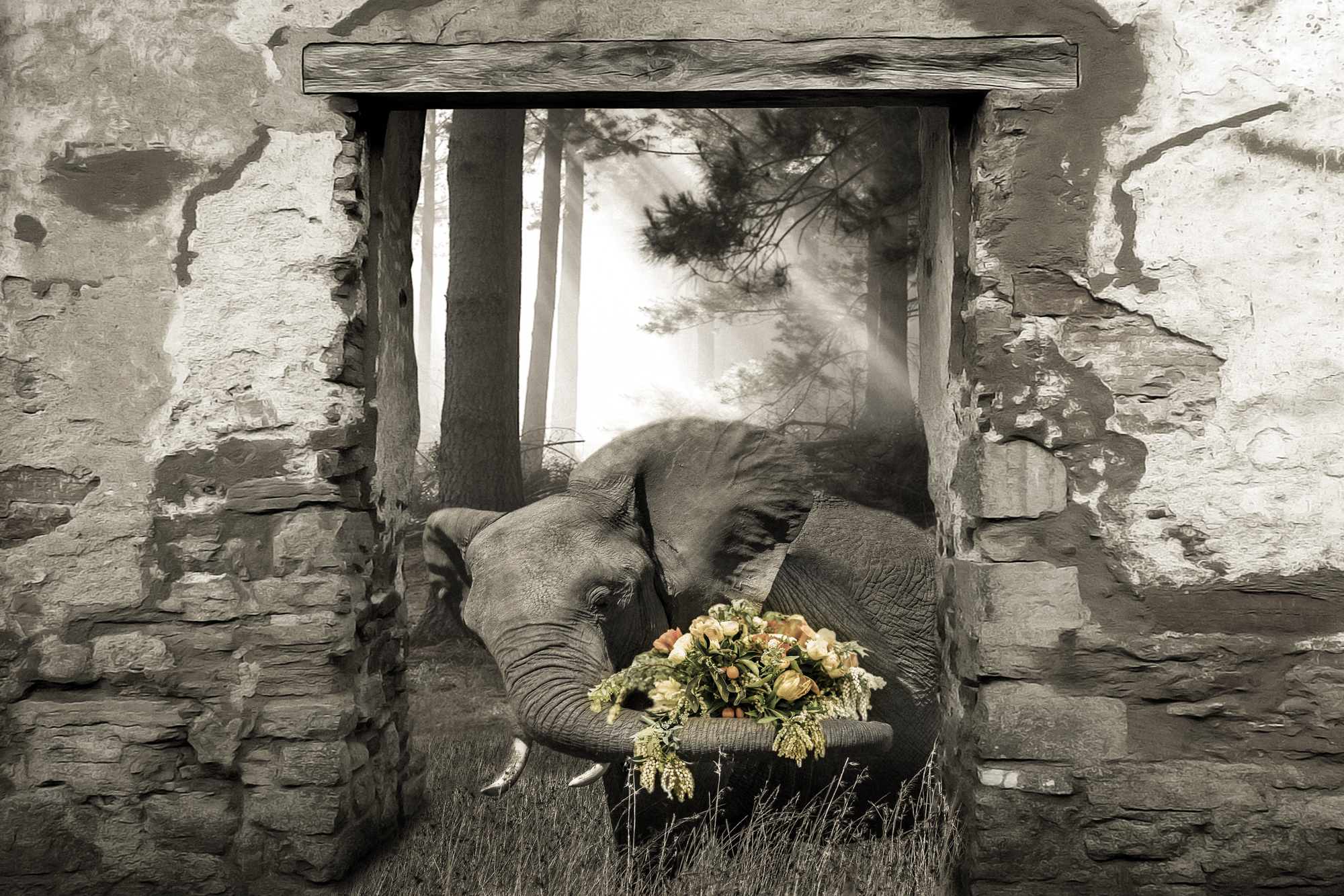Elephant Bouqet.2x3.2000px.jpg