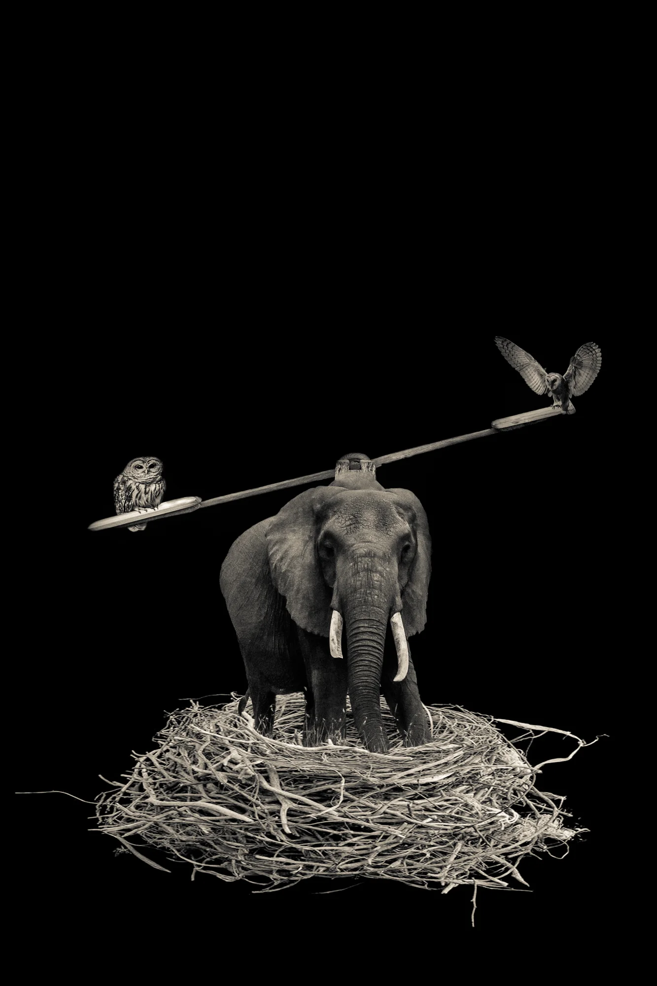 Mindful Balance.Sepia.2x3.2000px.jpg