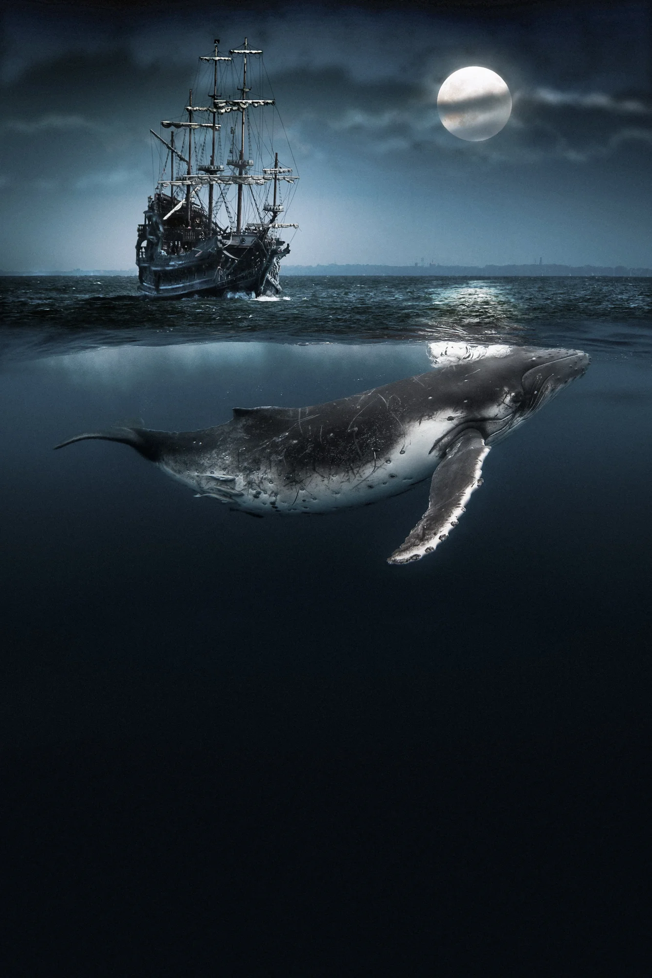 Moonlight Swim.2x3.2000px.jpg