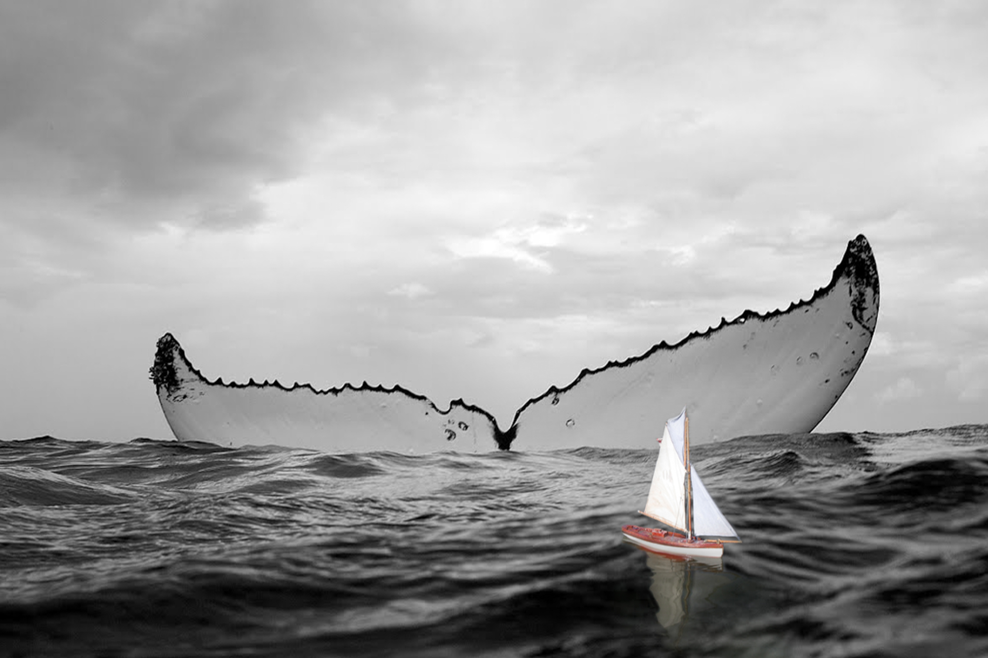 Tiny Sailor.2x3.2000px.jpg