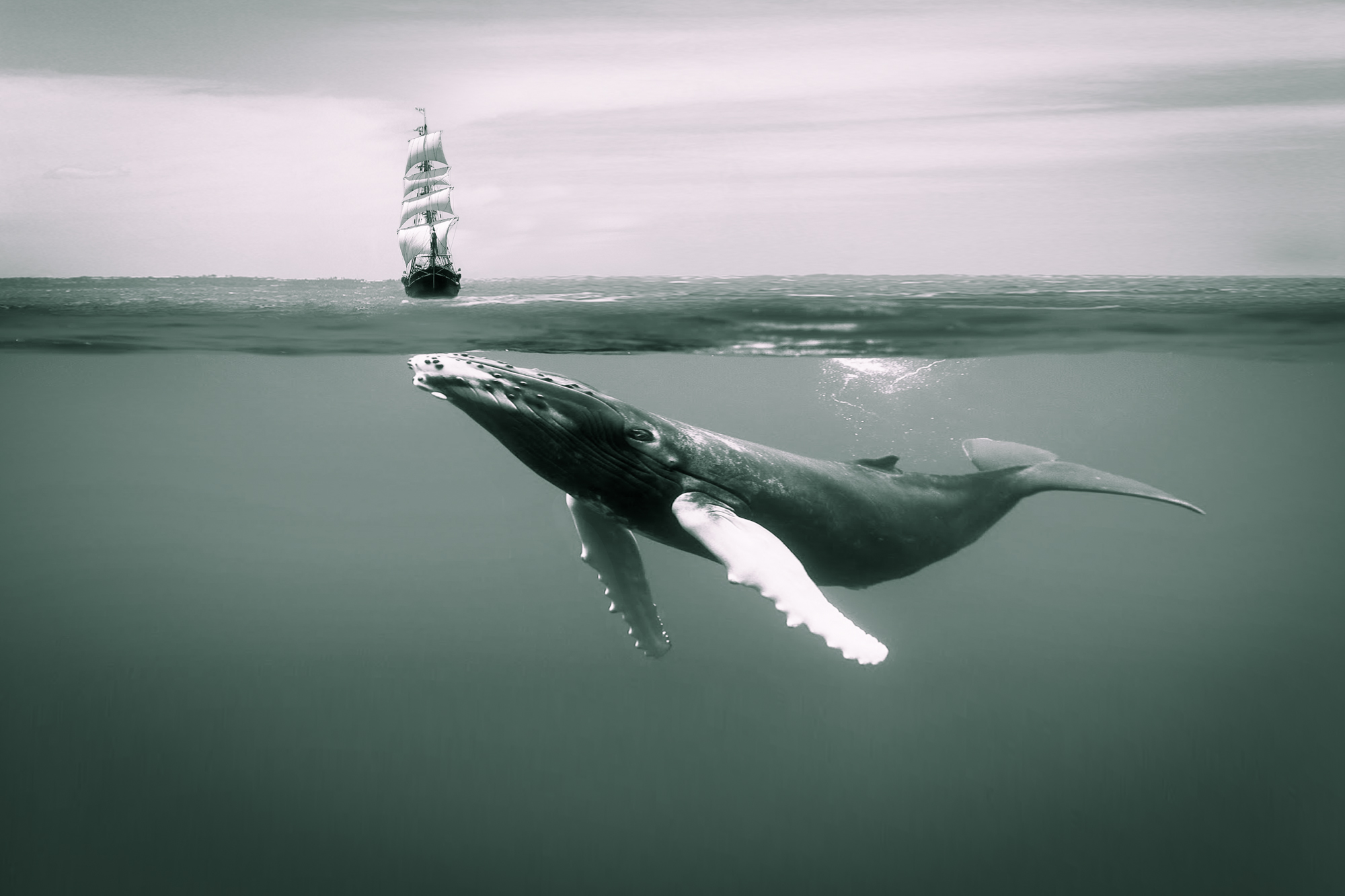 What Lies Beneath.2x3.2000px.jpg