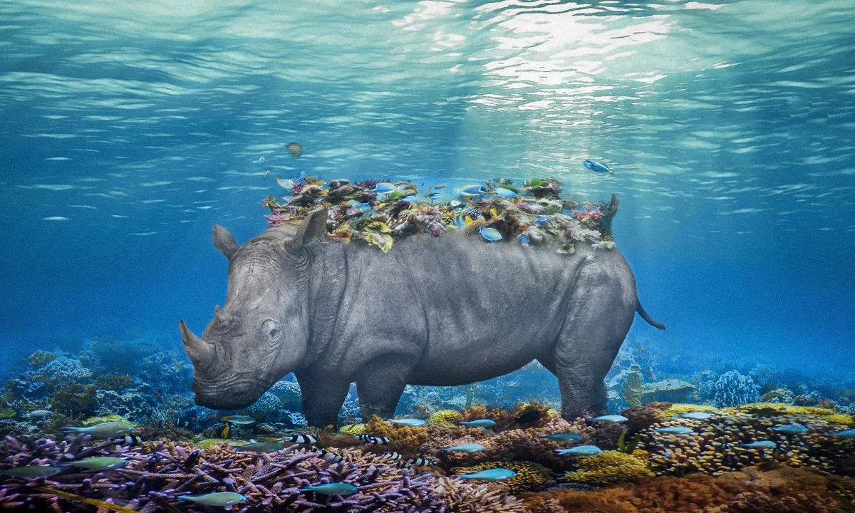 Rhino Reef.24x40.1200px.jpg